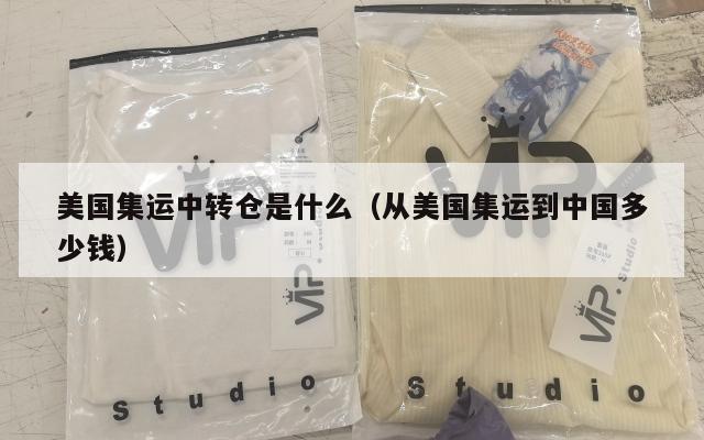 美国集运中转仓是什么（从美国集运到中国多少钱）