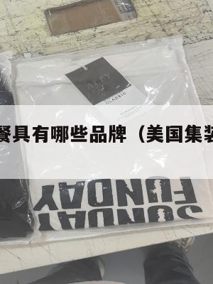 美国集运餐具有哪些品牌（美国集装箱运输公司）