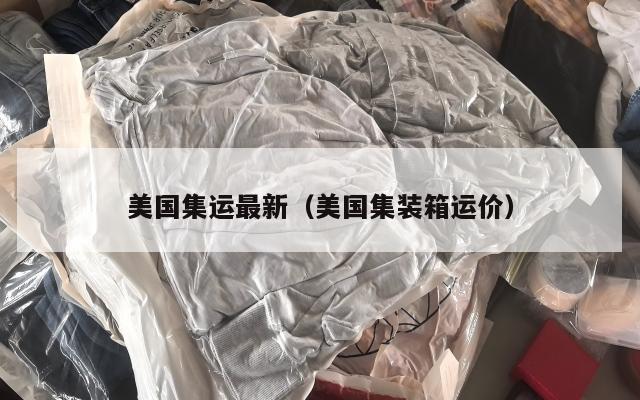 美国集运最新(美国集装箱运价)