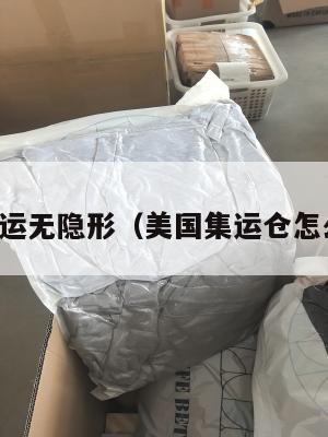 美国集运无隐形（美国集运仓怎么收费）