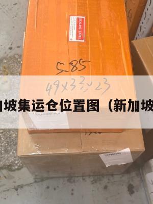 美国新加坡集运仓位置图（新加坡 集装箱）