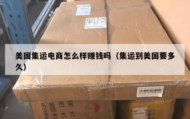 美国集运电商怎么样赚钱吗（集运到美国要多久）