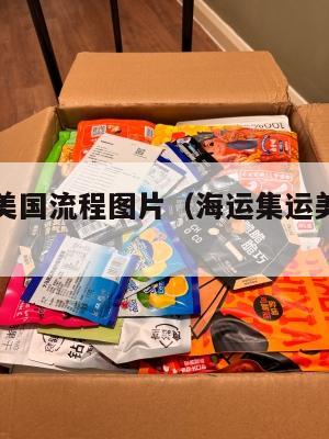 海运集运美国流程图片（海运集运美国流程图片及价格）