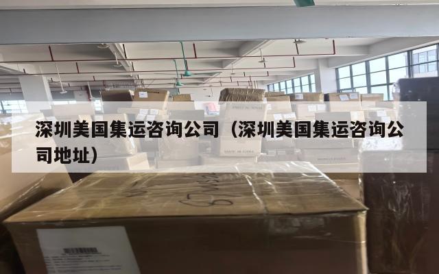 深圳美国集运咨询公司(深圳美国集运咨询公司地址)