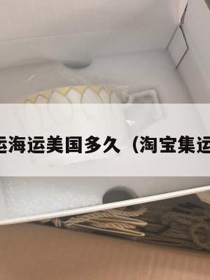 淘宝集运海运美国多久(淘宝集运到美国)
