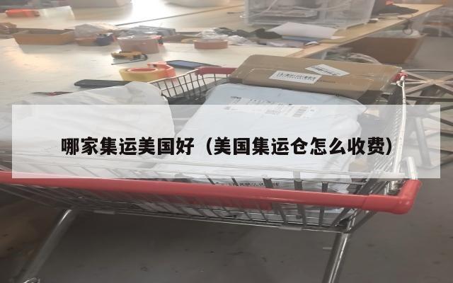 哪家集运美国好（美国集运仓怎么收费）