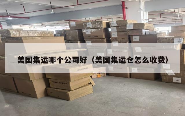 美国集运哪个公司好（美国集运仓怎么收费）
