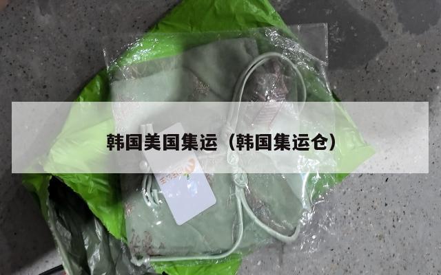 韩国美国集运（韩国集运仓）