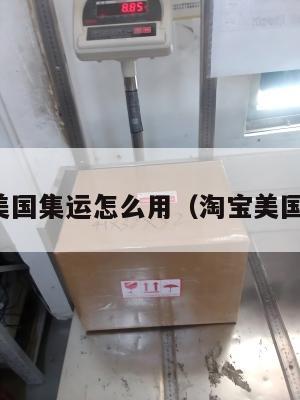 淘宝的美国集运怎么用（淘宝美国集运仓）