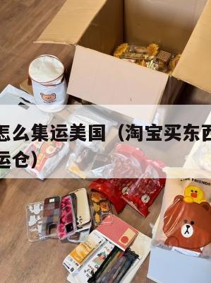 淘宝下单怎么集运美国（淘宝买东西到国外如何运至集运仓）