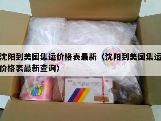 沈阳到美国集运价格表最新（沈阳到美国集运价格表最新查询）