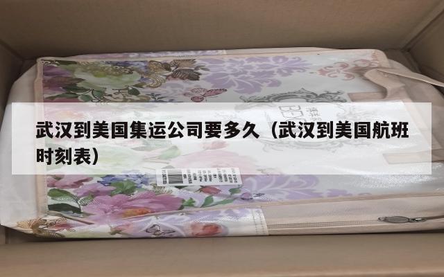 武汉到美国集运公司要多久（武汉到美国航班时刻表）