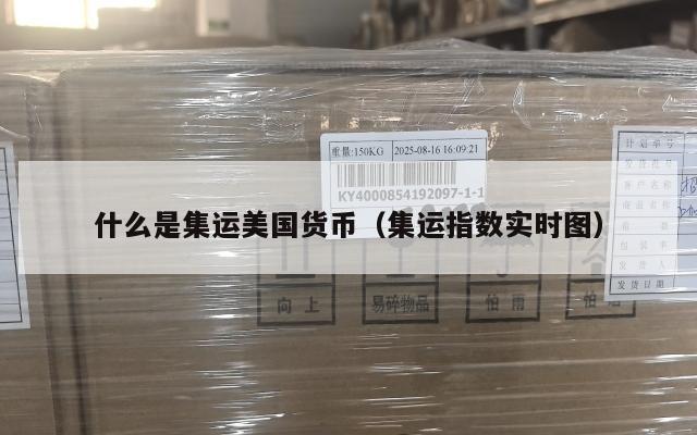 什么是集运美国货币（集运指数实时图）