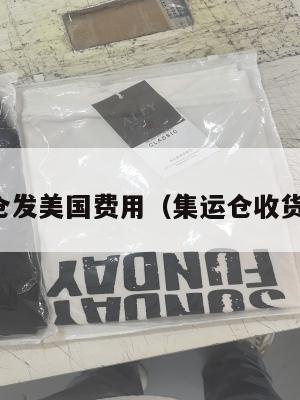 集运仓发美国费用(集运仓收货标准)