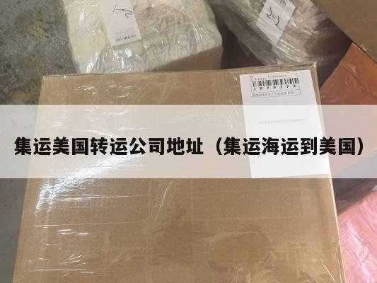 集运美国转运公司地址(集运海运到美国)