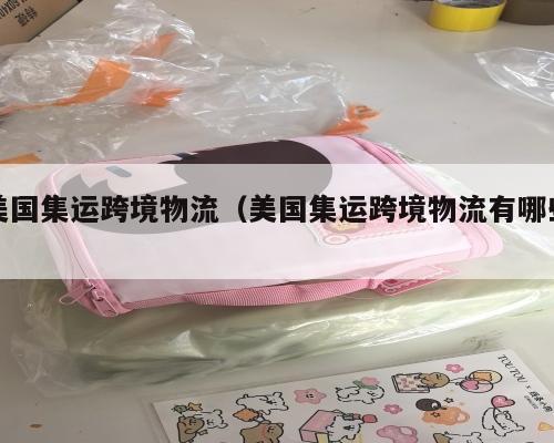 美国集运跨境物流（美国集运跨境物流有哪些）
