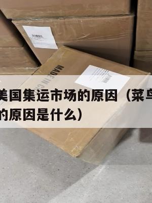 菜鸟进军美国集运市场的原因(菜鸟进军美国集运市场的原因是什么)