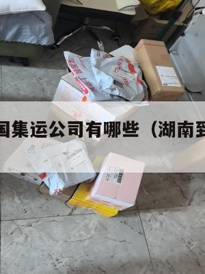 湖南到美国集运公司有哪些(湖南到美国多少公里)