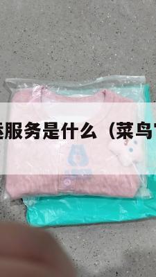 菜鸟美国集运服务是什么(菜鸟官方集运标准)