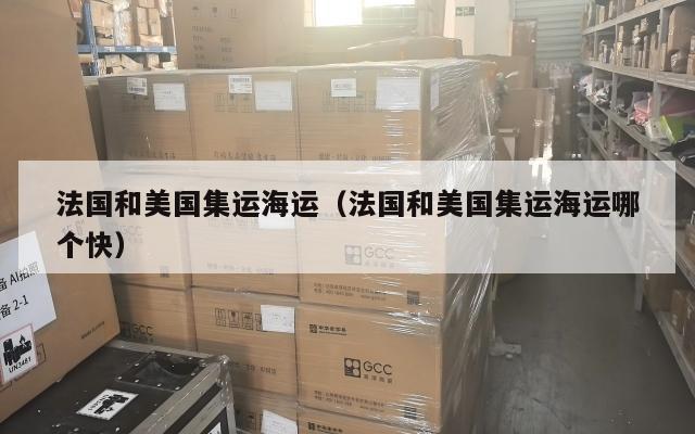 法国和美国集运海运(法国和美国集运海运哪个快)
