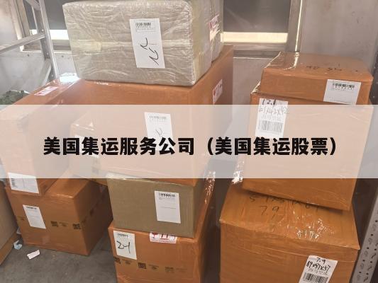 美国集运服务公司(美国集运股票)