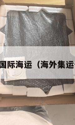 集运欧美国际海运(海外集运什么意思)