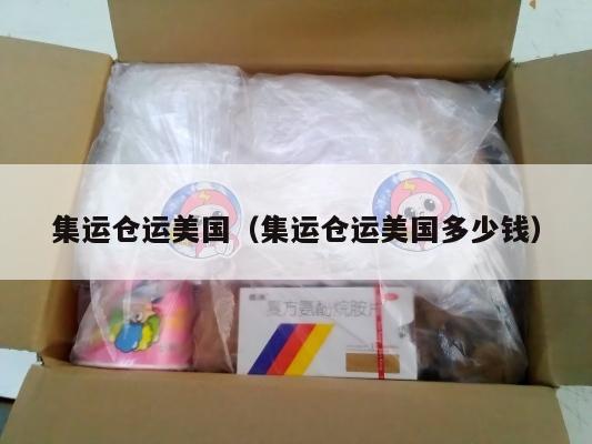 集运仓运美国(集运仓运美国多少钱)