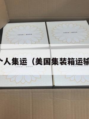 美国个人集运(美国集装箱运输公司)
