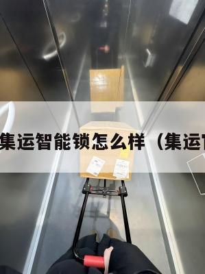 美国集运智能锁怎么样(集运官网)