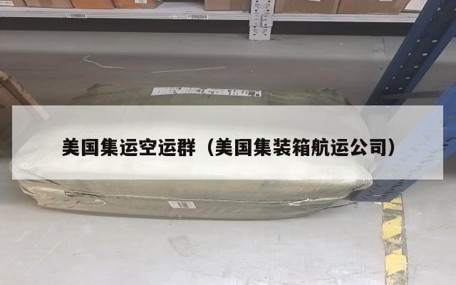 美国集运空运群(美国集装箱航运公司)