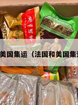 法国和美国集运(法国和美国集运区别)