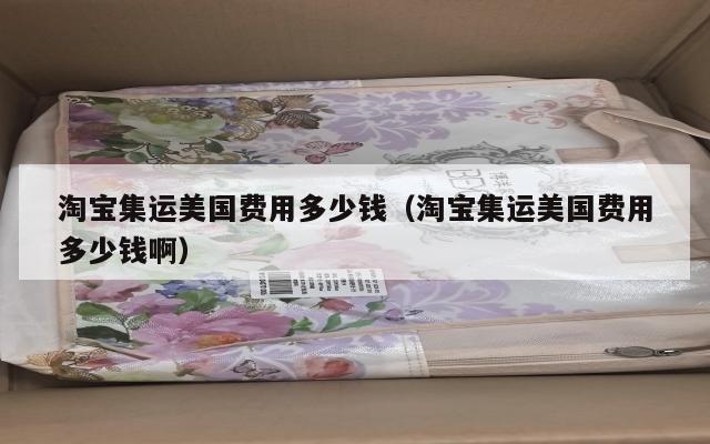 淘宝集运美国费用多少钱（淘宝集运美国费用多少钱啊）