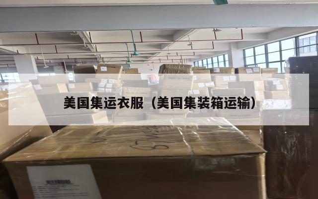 美国集运衣服(美国集装箱运输)