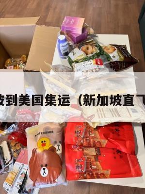 新加坡到美国集运（新加坡直飞美国）