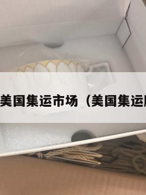 中国美国集运市场（美国集运股票）