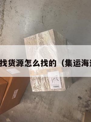 集运美国找货源怎么找的(集运海运到美国)