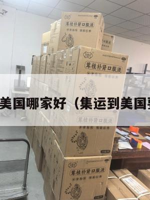 集运到美国哪家好(集运到美国要多久)