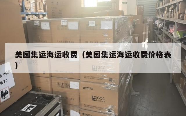 美国集运海运收费(美国集运海运收费价格表)