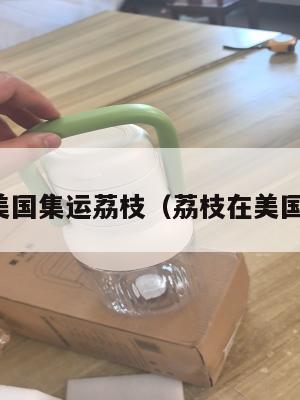 美国集运荔枝(荔枝在美国)