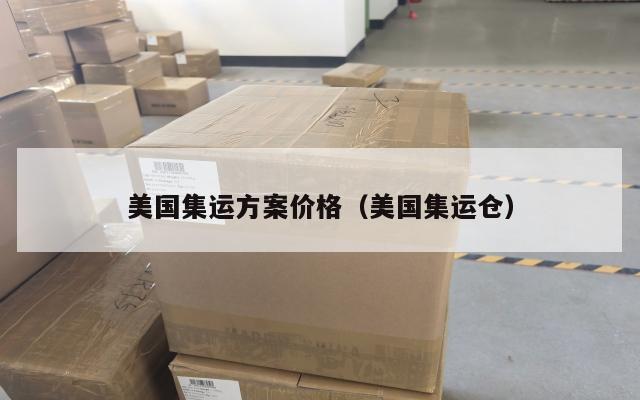 美国集运方案价格(美国集运仓)