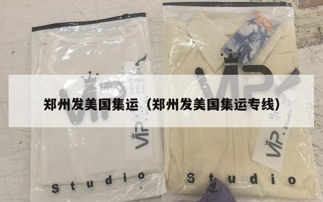 郑州发美国集运(郑州发美国集运专线)