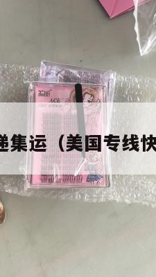 美国快递集运(美国专线快递查询)
