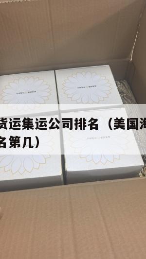 美国海运货运集运公司排名(美国海运货运集运公司排名第几)