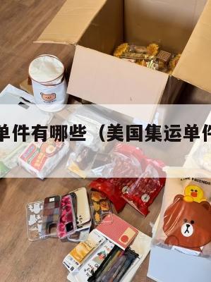 美国集运单件有哪些(美国集运单件有哪些品牌)