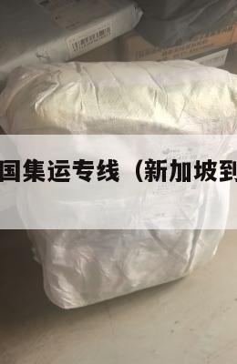 新加坡到美国集运专线(新加坡到中国海运专线)