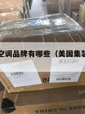 美国集运空调品牌有哪些(美国集装箱航运公司)