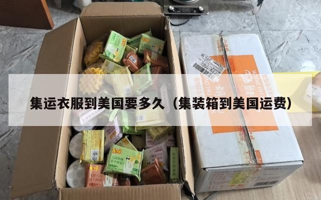 集运衣服到美国要多久(集装箱到美国运费)