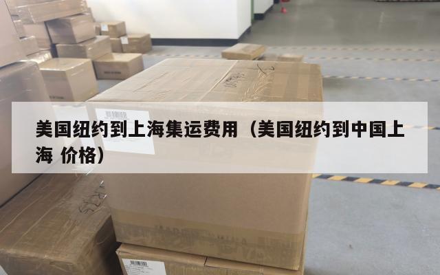 美国纽约到上海集运费用(美国纽约到中国上海 价格)