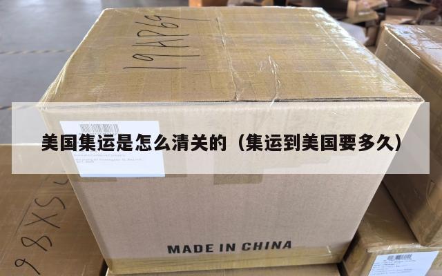美国集运是怎么清关的(集运到美国要多久)