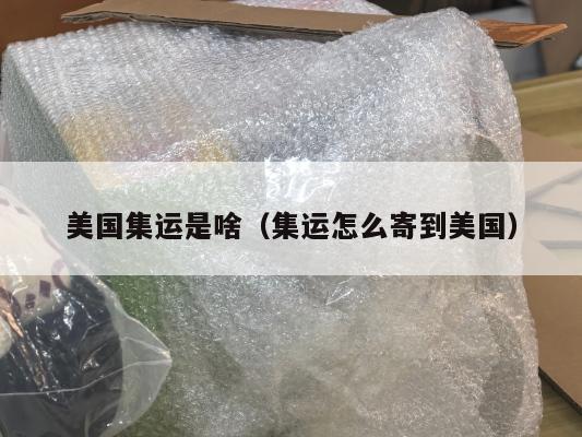 美国集运是啥(集运怎么寄到美国)